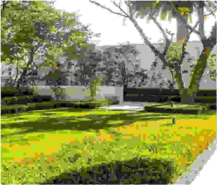 Proyecto de paisaje en Ciudad de México | homify