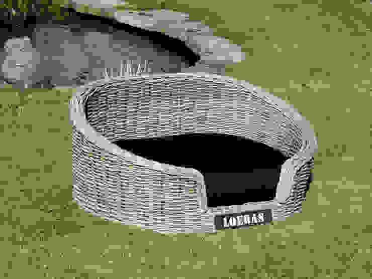 dog garden furniture