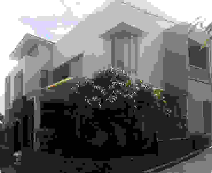 facade daun architect Rumah Modern