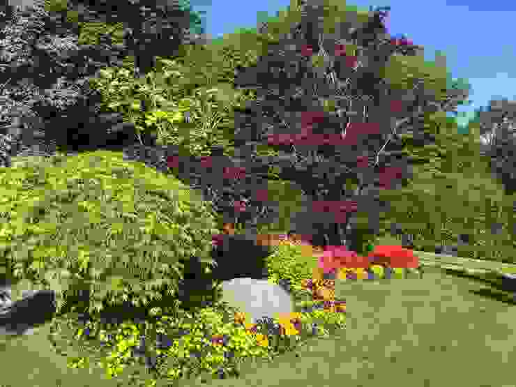 Azienda agricola Vivai Romeo