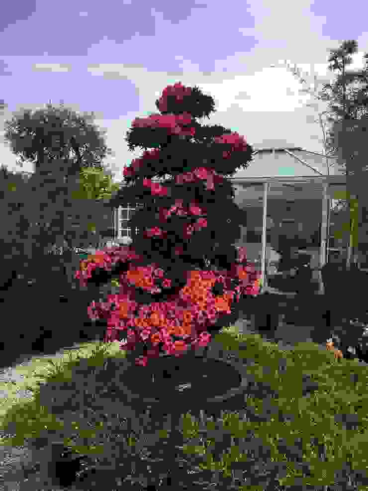 Azienda agricola Vivai Romeo