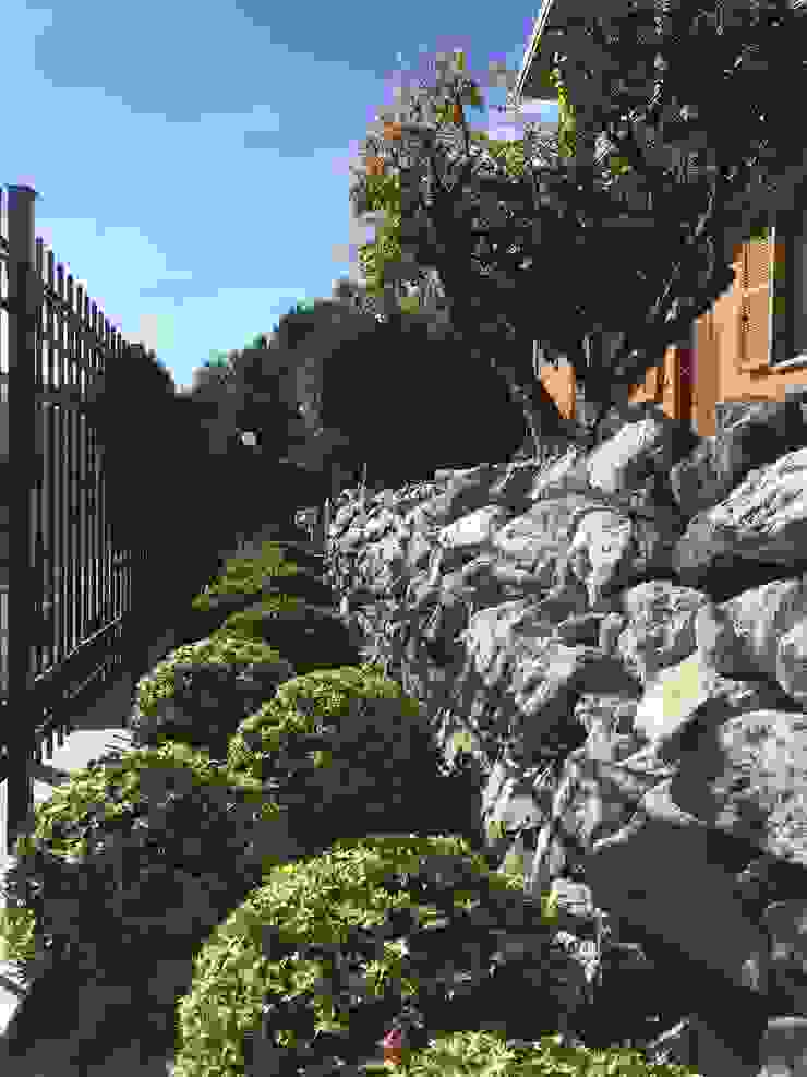 Azienda agricola Vivai Romeo