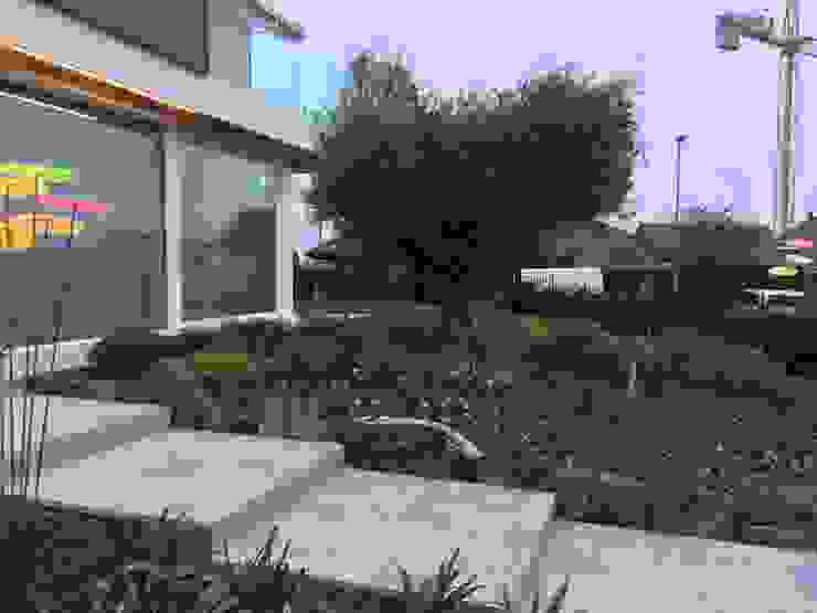 Azienda agricola Vivai Romeo