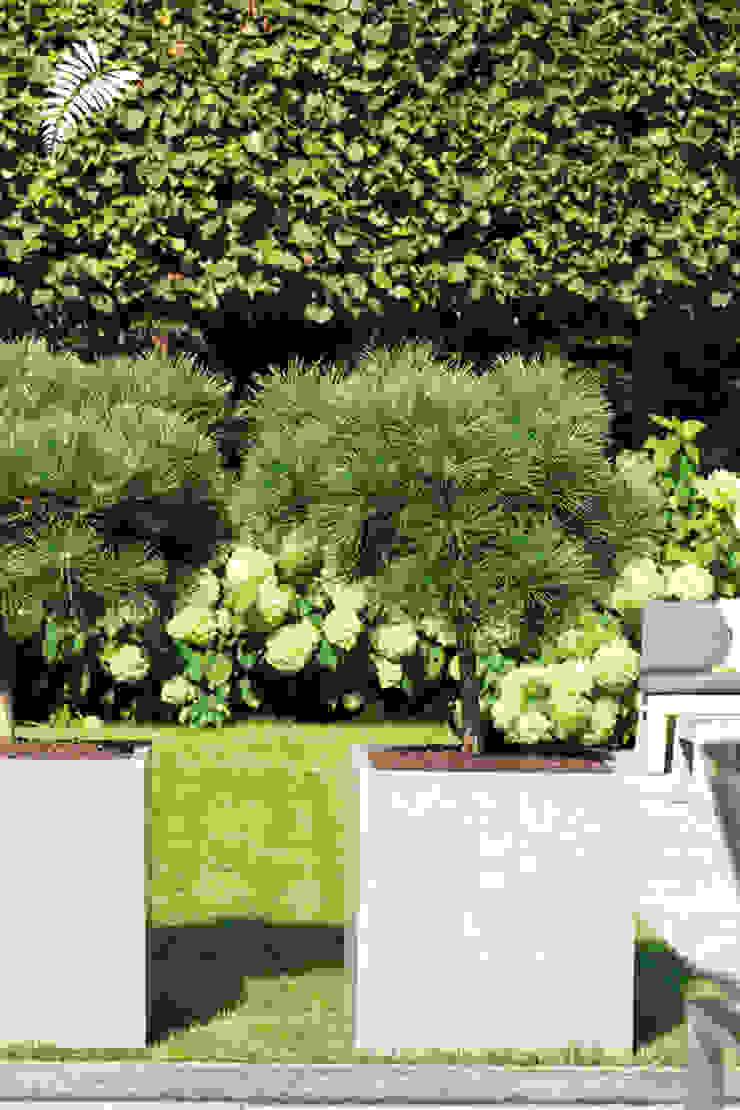 Pflanzgefäße aus Naturbeton arts&more Balkon, Veranda & TerrasseAccessoires und Dekoration Beton Grau