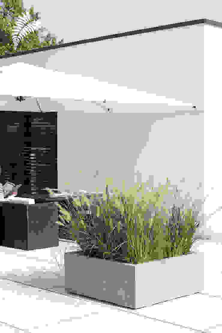 Pflanzgefäße aus Naturbeton arts&more Balkon, Veranda & TerrassePflanzen und Blumen Beton Gelb