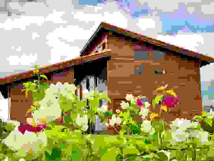 Casas y cabañas de Madera -GRUPO CONSTRUCTOR RIO DORADO (MRD-TADPYC) บ้านและที่อยู่อาศัย
