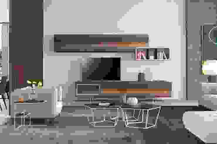 Intense mobiliário e interiores Living roomShelves