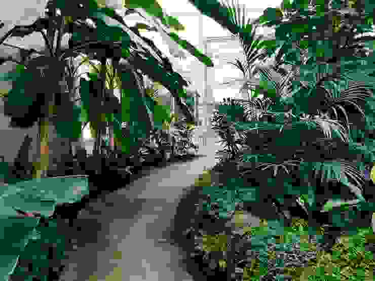 Tukang Taman Surabaya - Tianggadha-art Jardins de fachada Arenito Verde