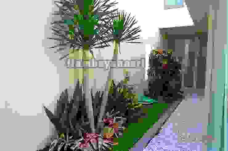 25 Koleksi Desain Tukang Taman Surabaya Terindah Homify