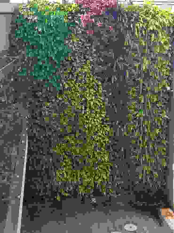 Tukang Taman Surabaya - Tianggadha-art Jardins de fachada Alumínio/Zinco Verde