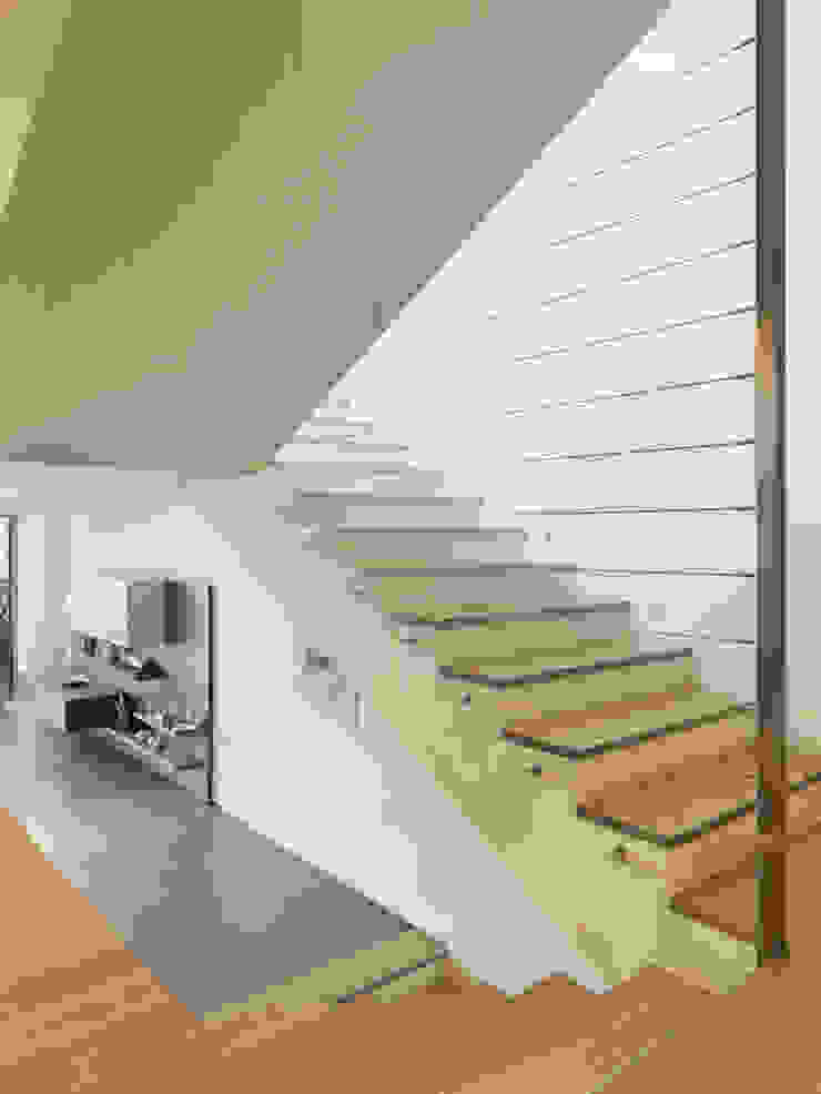 Original Vision Escadas
