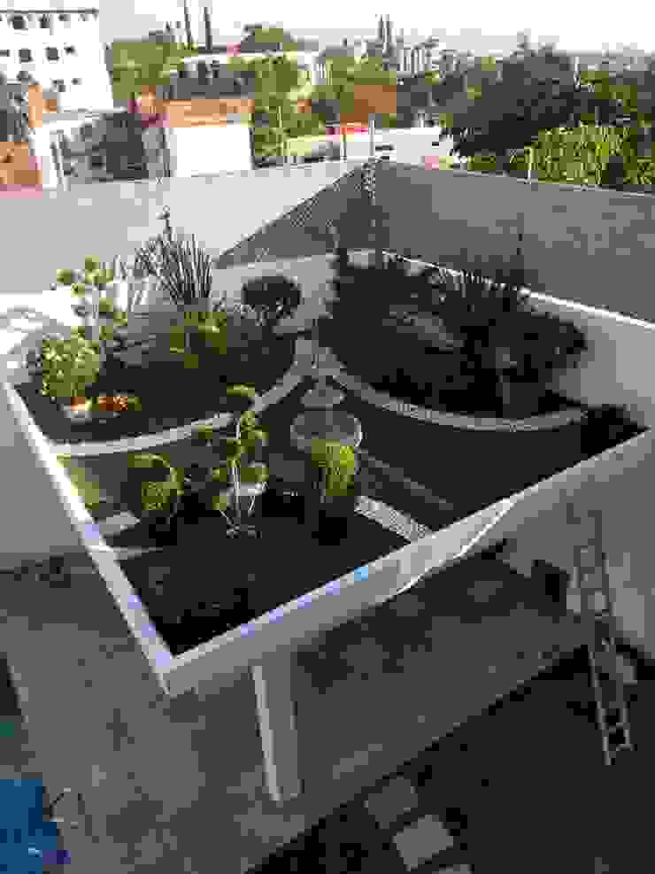 palapa y roof garden coprefa Jardines modernos