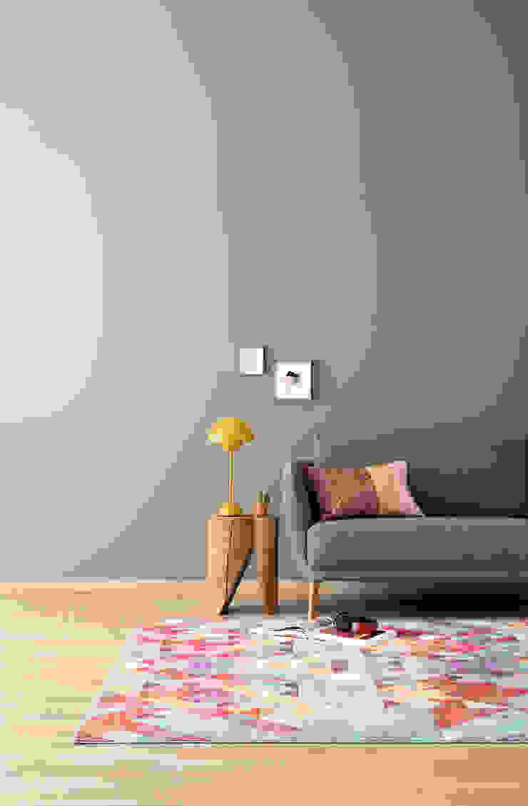 Designfarben von SCHÖNER WOHNEN-FARBE | homify