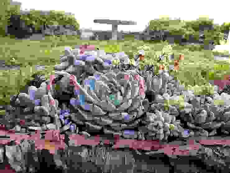 Decoracao De Jardim Centro De Mesa Por Suculentas Design Homify