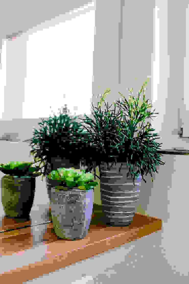 Pflanzen für die Toilette T-raumKONZEPT - Interior Design im Raum Nürnberg Moderne Badezimmer Holz Gäste-Toilette,WC,Holzablage,Pflanzen,Behaglichkeit