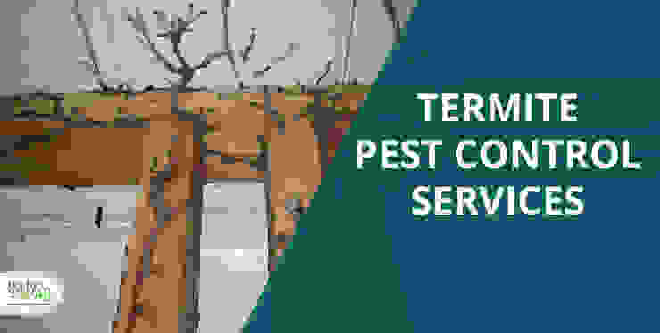Pest Control Services In Bangalore Homify