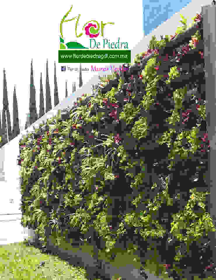 jardines verticales flor de piedra