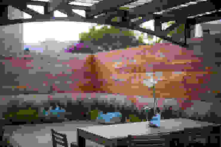 Remodelación de patio trasero en CDMX: ¡los expertos crearon una