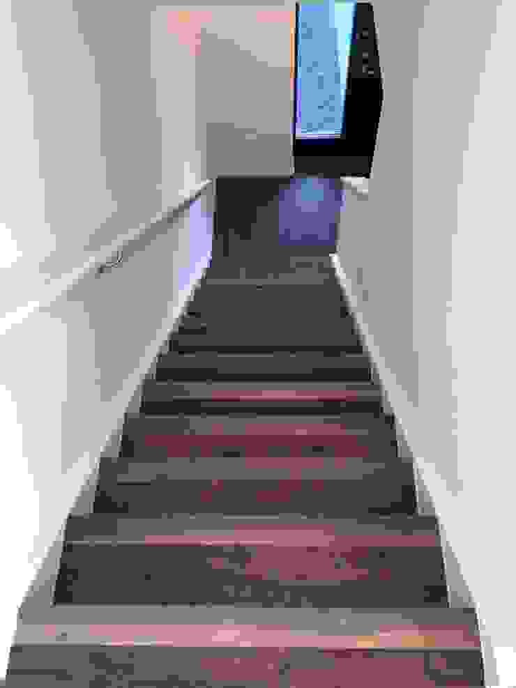 European Walnut Stair treads and risers homify