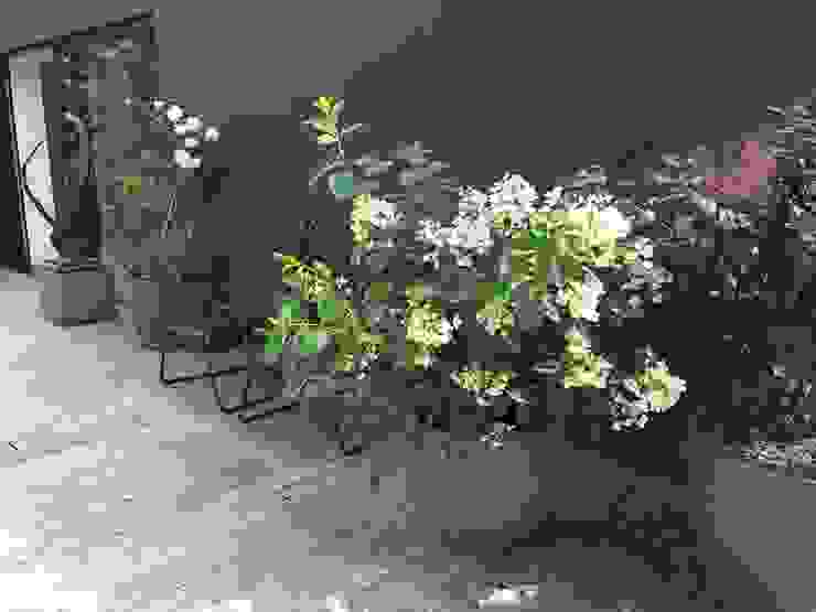 Terrassengestaltung mit Pflanzgefäßen von Atelier Vierkant | homify