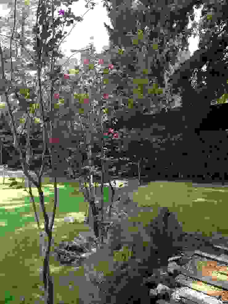 Vista a zona de juegos Patio Jardines modernos Diseño de jardines, suministro de árboles, diseño de paisaje