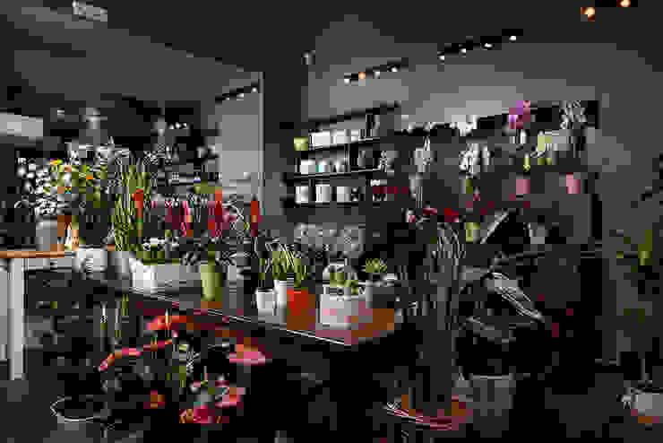 total grey manuarino architettura design comunicazione Negozi & Locali commerciali in stile minimalista Legno Grigio interior design, architecture, flower shop,,Negozi & Locali commerciali