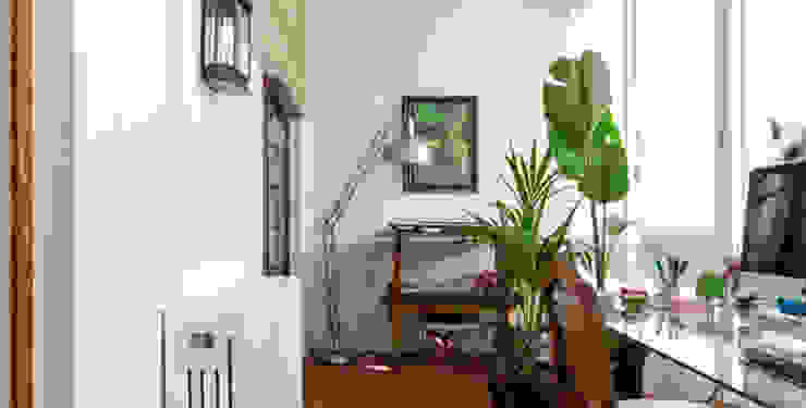 Renovação de Apartamento T1, Maria Mayer | Interior & Landscape Design Maria Mayer | Interior & Landscape Design Jardines de invierno de estilo clásico Blanco