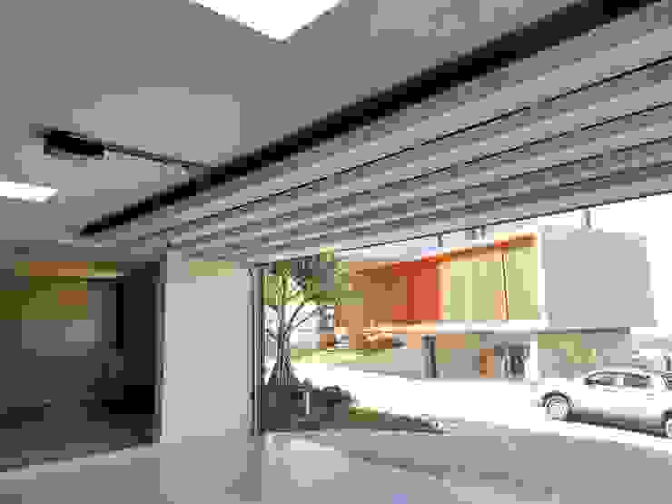 Portão interno Cattani Portões Garagens e edículas modernas Ferro/Aço Preto