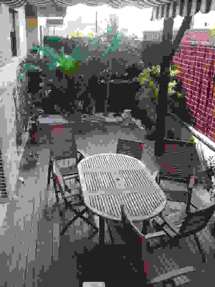 homify