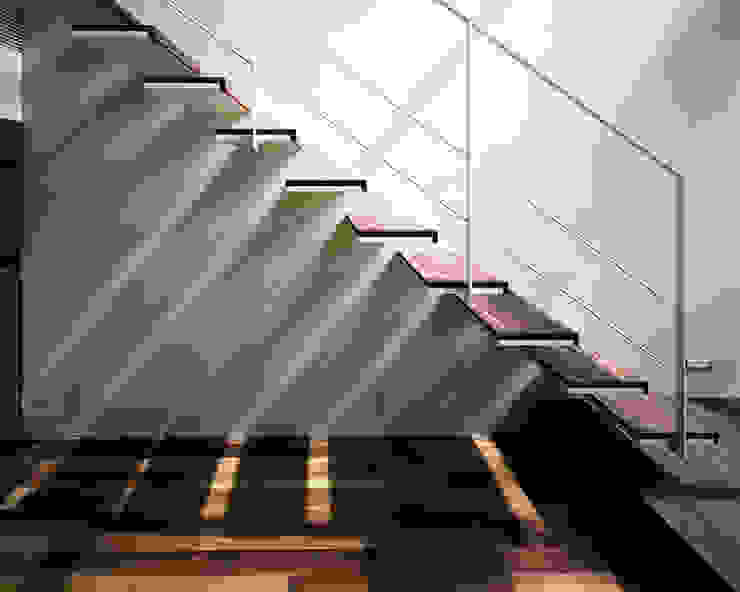 キャンチレバー階段 株式会社 片岡英和建築研究室 階段 木 木目調 キャンチレバー、階段