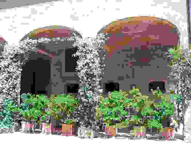 Il gelsomino Simona Muzzi Architetto Giardino in stile rustico Laterizio rurale,casa di campagna,azienda agricola,rustico,faccia a vista,gelsomino,verde,essenze,piante in vaso,piante