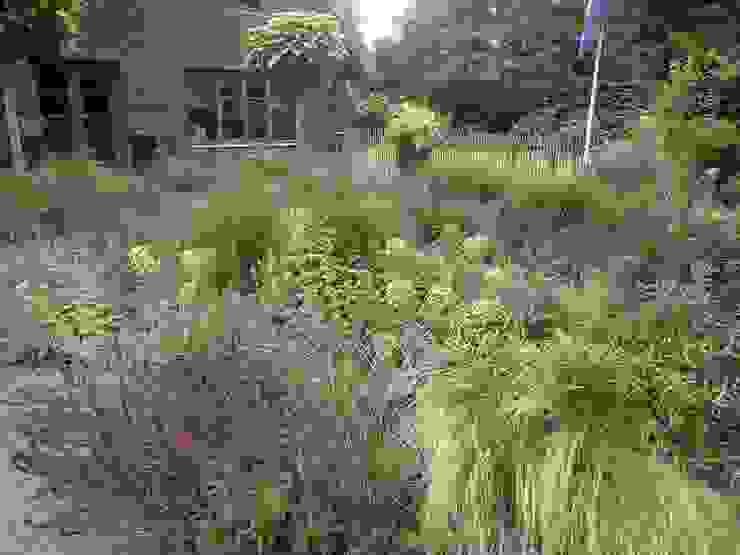 Purple mood Rosin Manuel Garden deSign Giardino moderno Fiore,Pianta,Comunità di piante,Finestra,Albero,Paesaggio naturale,lotto di terreno,Erba,Paesaggio,Pianta erbacea