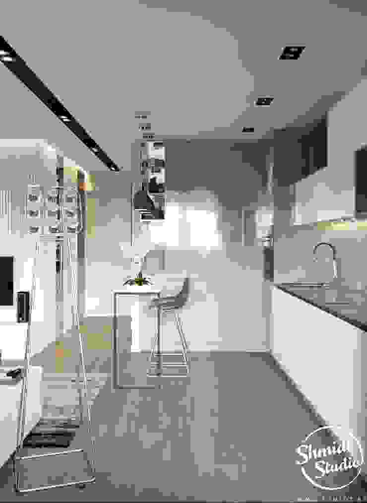 Project <q>Mini</q>, Minsk Shmidt Studio Modern Kitchen