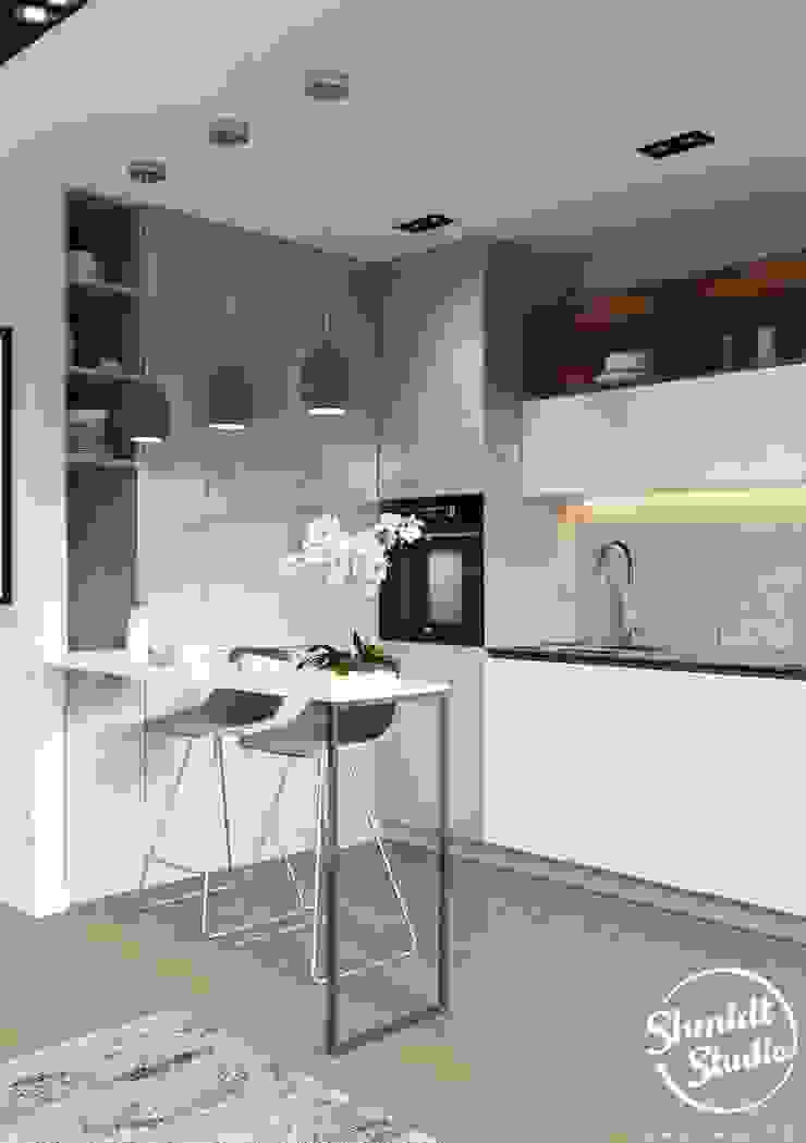 Project <q>Mini</q>, Minsk Shmidt Studio Modern Kitchen