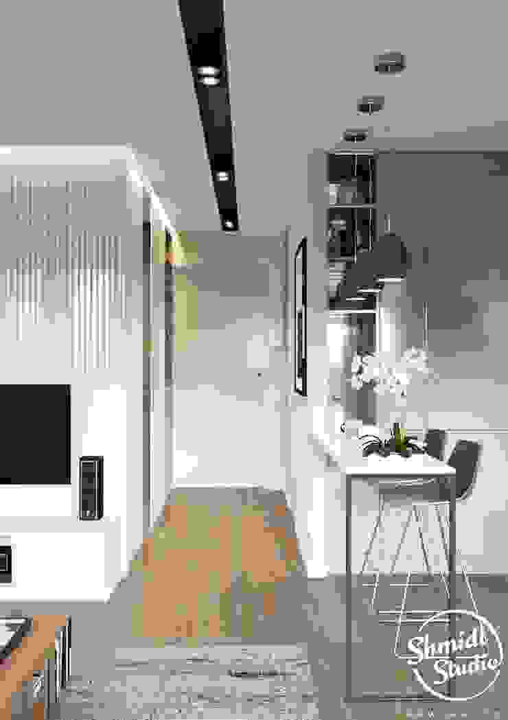 Project <q>Mini</q>, Minsk Shmidt Studio Modern Living Room