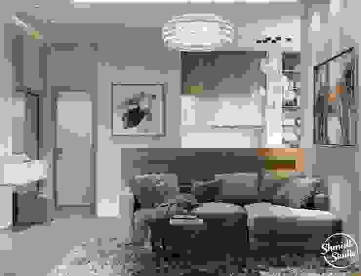 Project <q>Skilful</q>, Moscow Shmidt Studio Modern Living Room