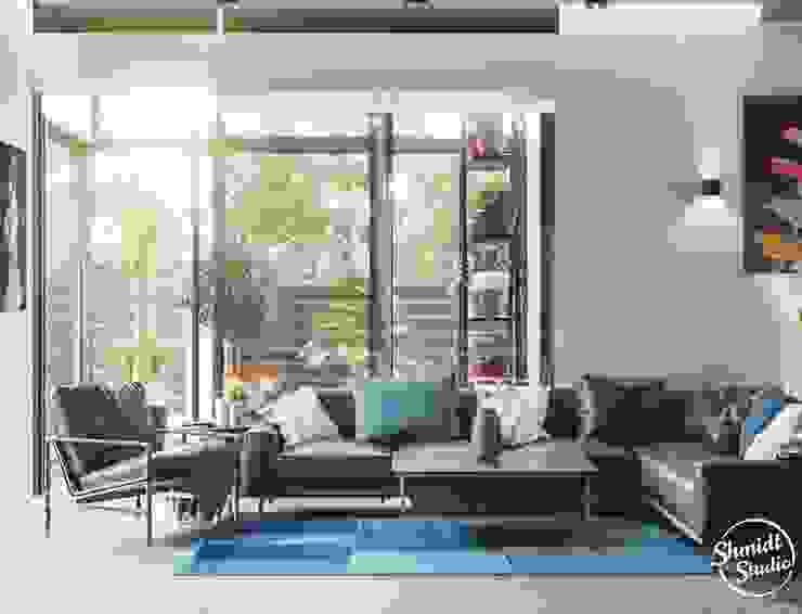 Project "Attractive", Minsk Shmidt Studio Modern Living Room