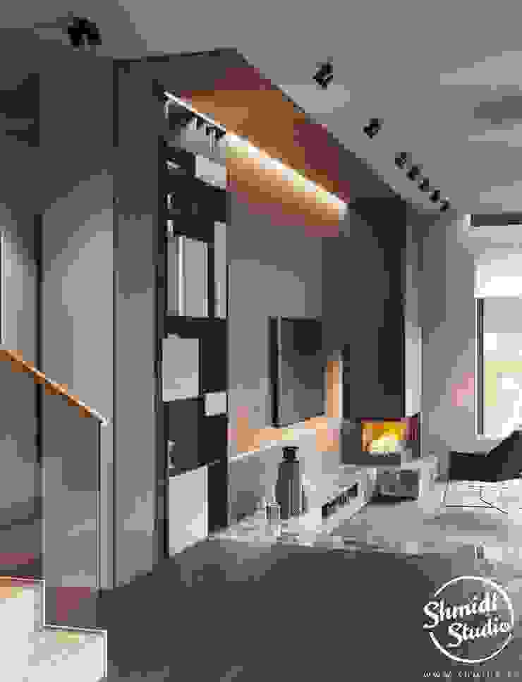 Project <q>Attractive</q>, Minsk Shmidt Studio Modern Living Room