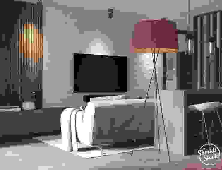 Project <q>Frank</q>, Minsk Shmidt Studio Modern Living Room