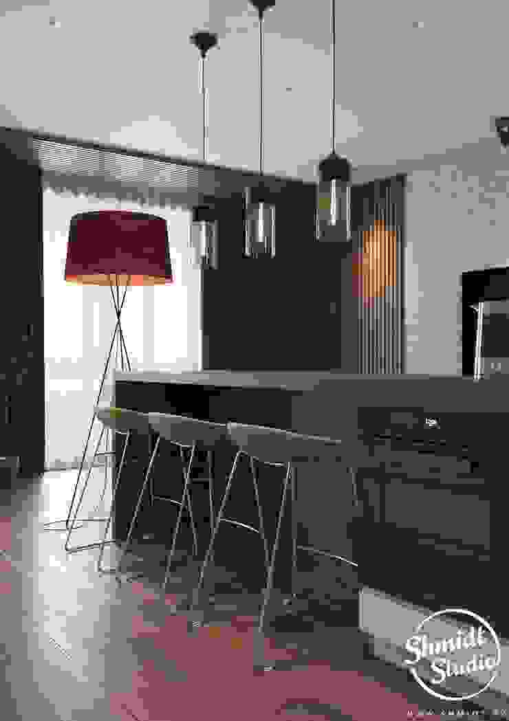 Project <q>Frank</q>, Minsk Shmidt Studio Modern Kitchen