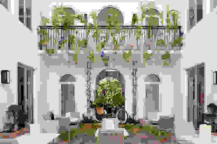 TruVine Design | Biophilic Design & Living Walls | Delray Beach, Florida, Chibi Moku Architectural Films Chibi Moku Architectural Films Tropischer Balkon, Veranda & Terrasse