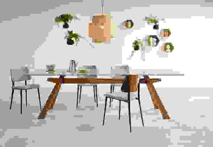 Mesa De Jantar Com Design Pe De Madeira E Tampo De Vidro Transparente Design Dining Table Wooden Base And Transparent Glass Top Suez Lg Homify