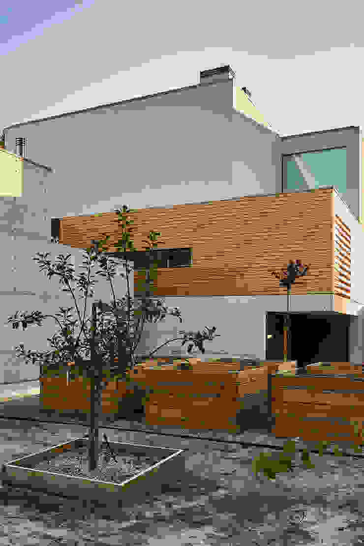 CM House Atelier d'Arquitetura Lopes da Costa Casa unifamiliare