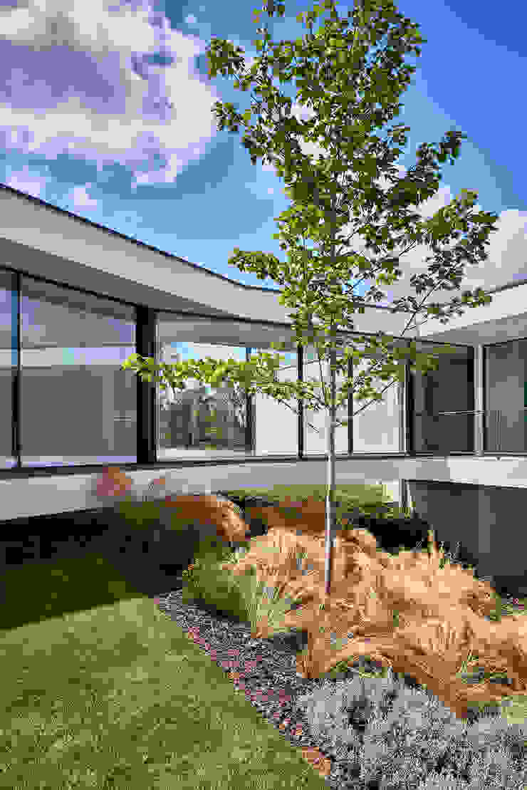 MC House Atelier d'Arquitetura Lopes da Costa Villa Vetro Trasparente