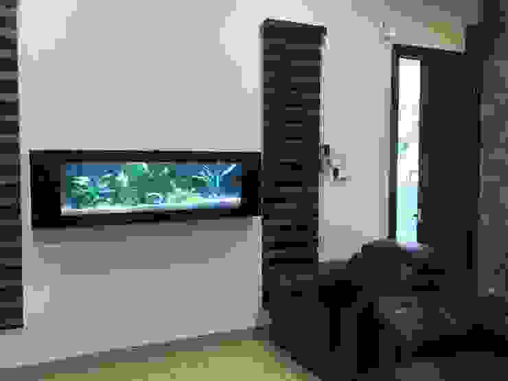 Crystal Black—Residential Seazone Living roomAccessories & decoration