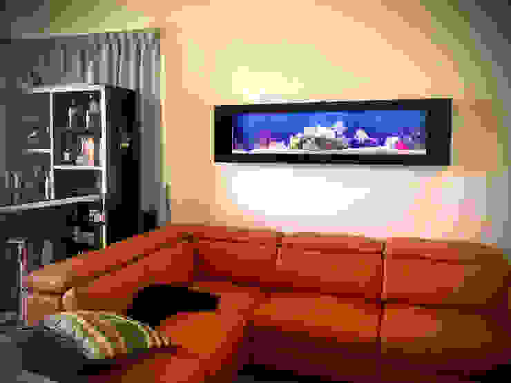Crystal Black—Residential Seazone Living roomAccessories & decoration