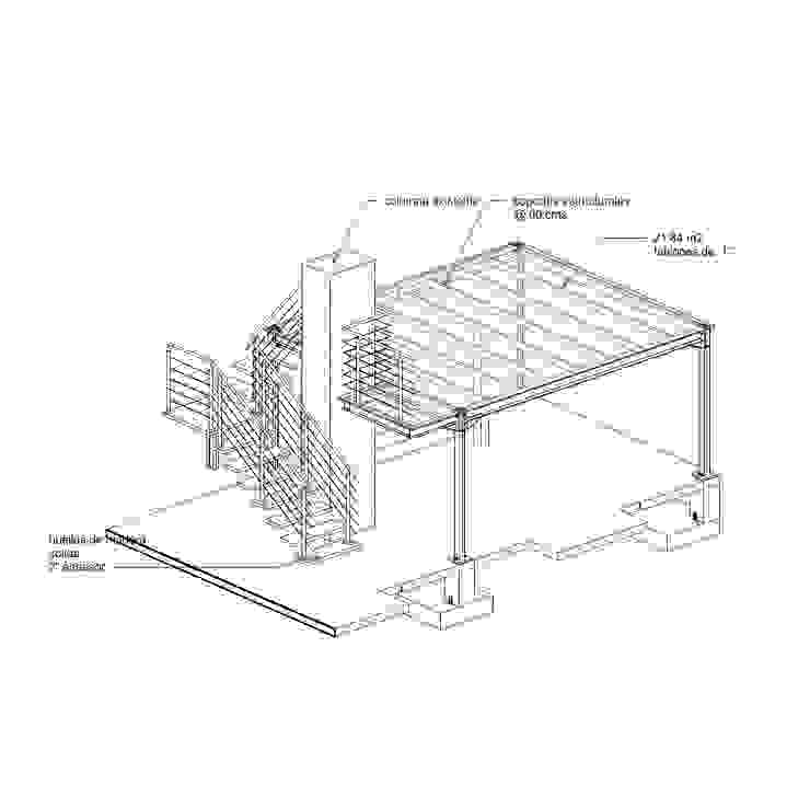 vivo arquitectura