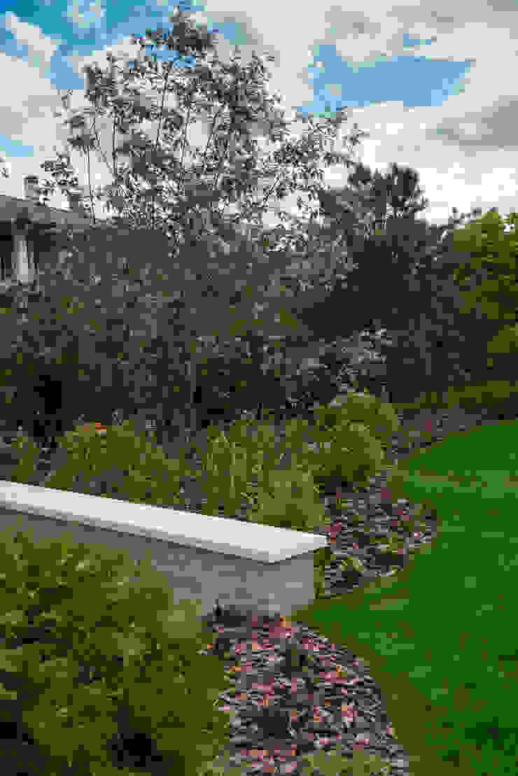 Игра контрастов. Миллениум Парк 2018 г. ARCADIA GARDEN Landscape Studio