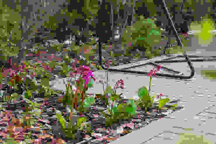 Игра контрастов. Миллениум Парк 2018 г. ARCADIA GARDEN Landscape Studio