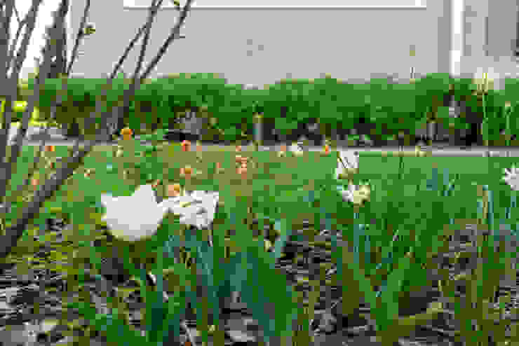 Игра контрастов. Миллениум Парк 2018 г. ARCADIA GARDEN Landscape Studio